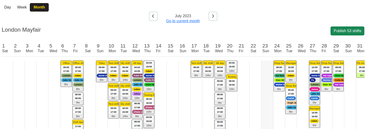 Monthly Rota View